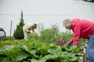 Scott-Farrar senior living residents tending to the garden